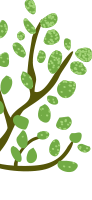 葉のイラスト